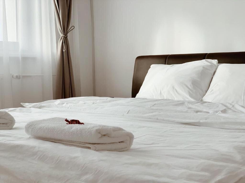 Ultracentral Apt With City Center View - Smart Tv - Ac Timișoara Zewnętrze zdjęcie